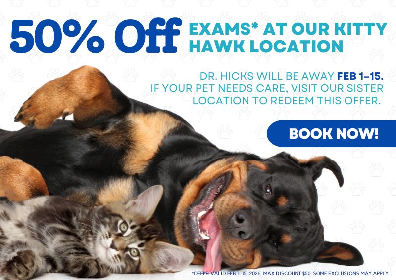 Carousel Slide 1: Limited Time Offer