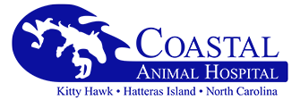 Link to Homepage of Coastal Animal Hospital of Hatteras Island